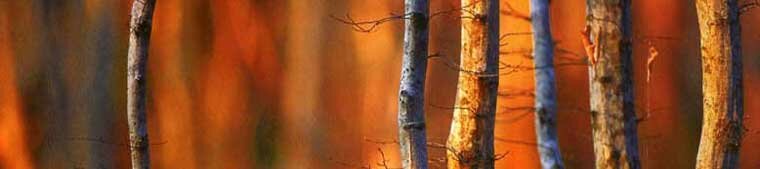 Autumn Breaks in the Scottish Highlands